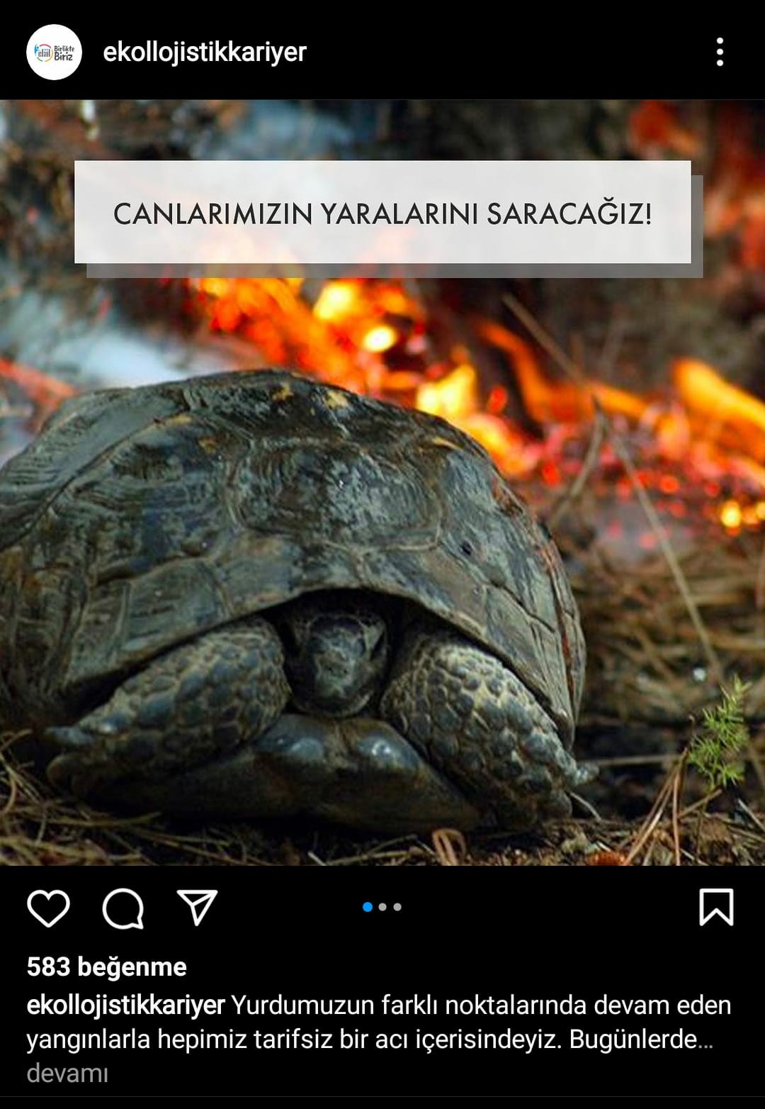 markalar ne kadar bağış yaptı