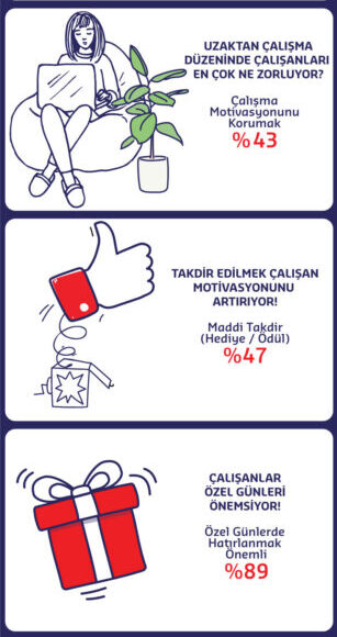 arastirma infografik 3