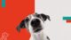 hipaw2